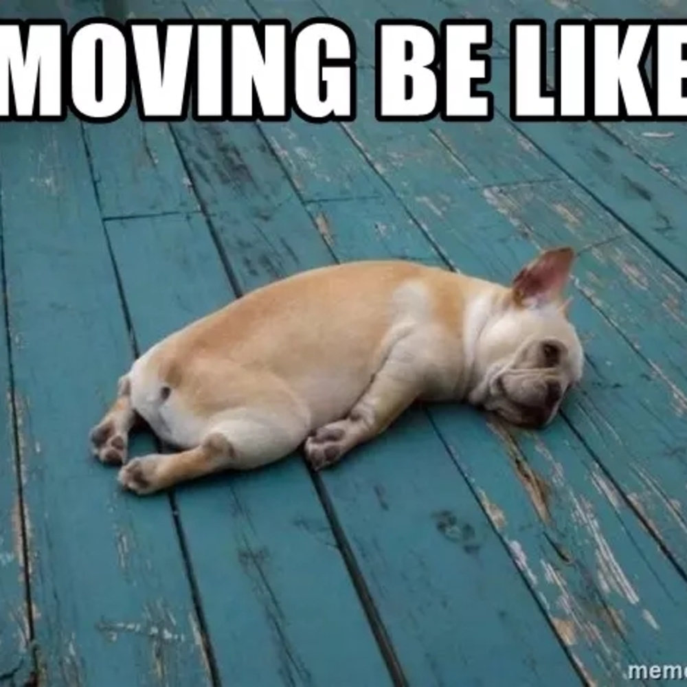 Hi! shop is closed temporarily while we move. be back next month.
